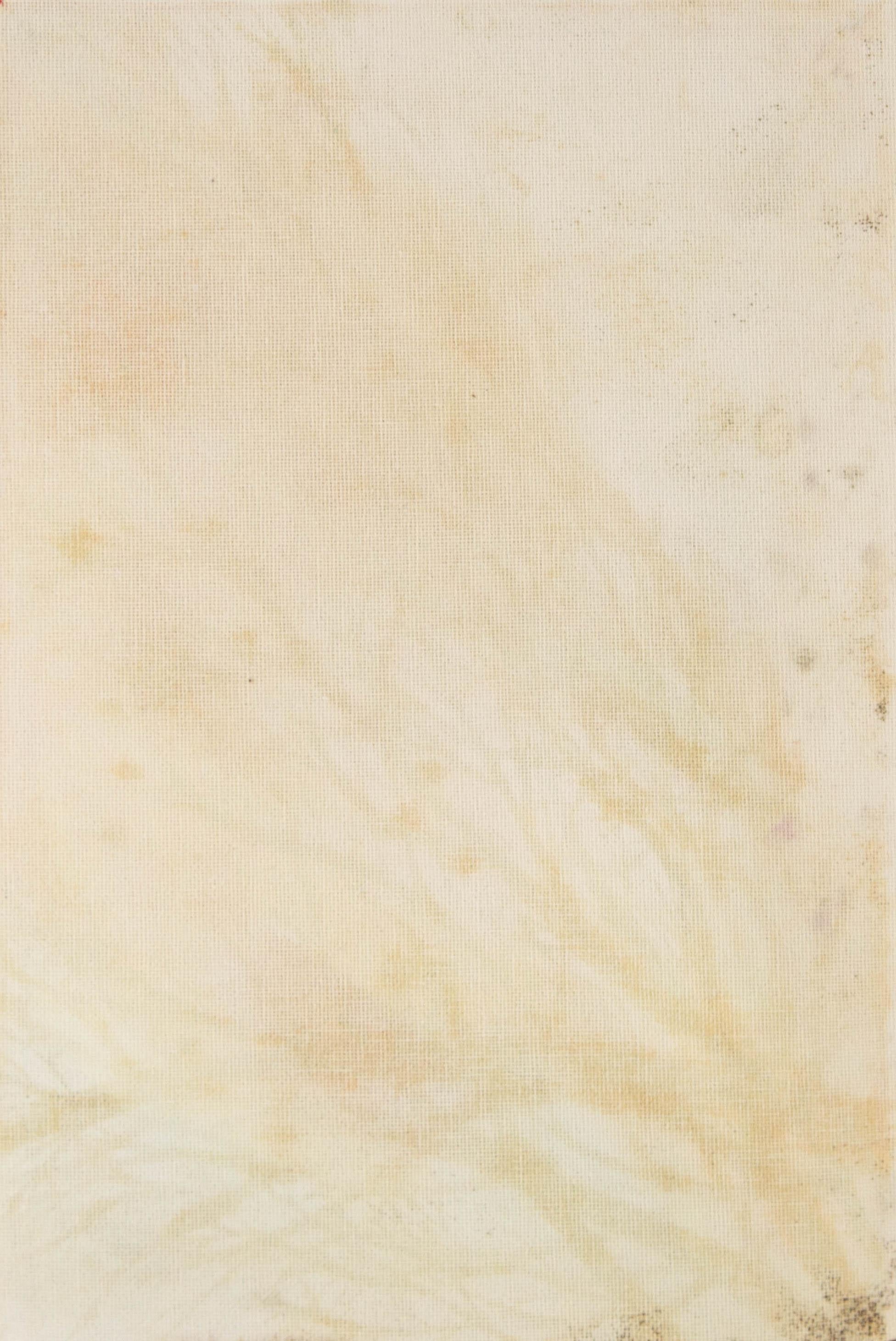 Zhao Wang Landschaft Original-Acryl auf Leinwand 