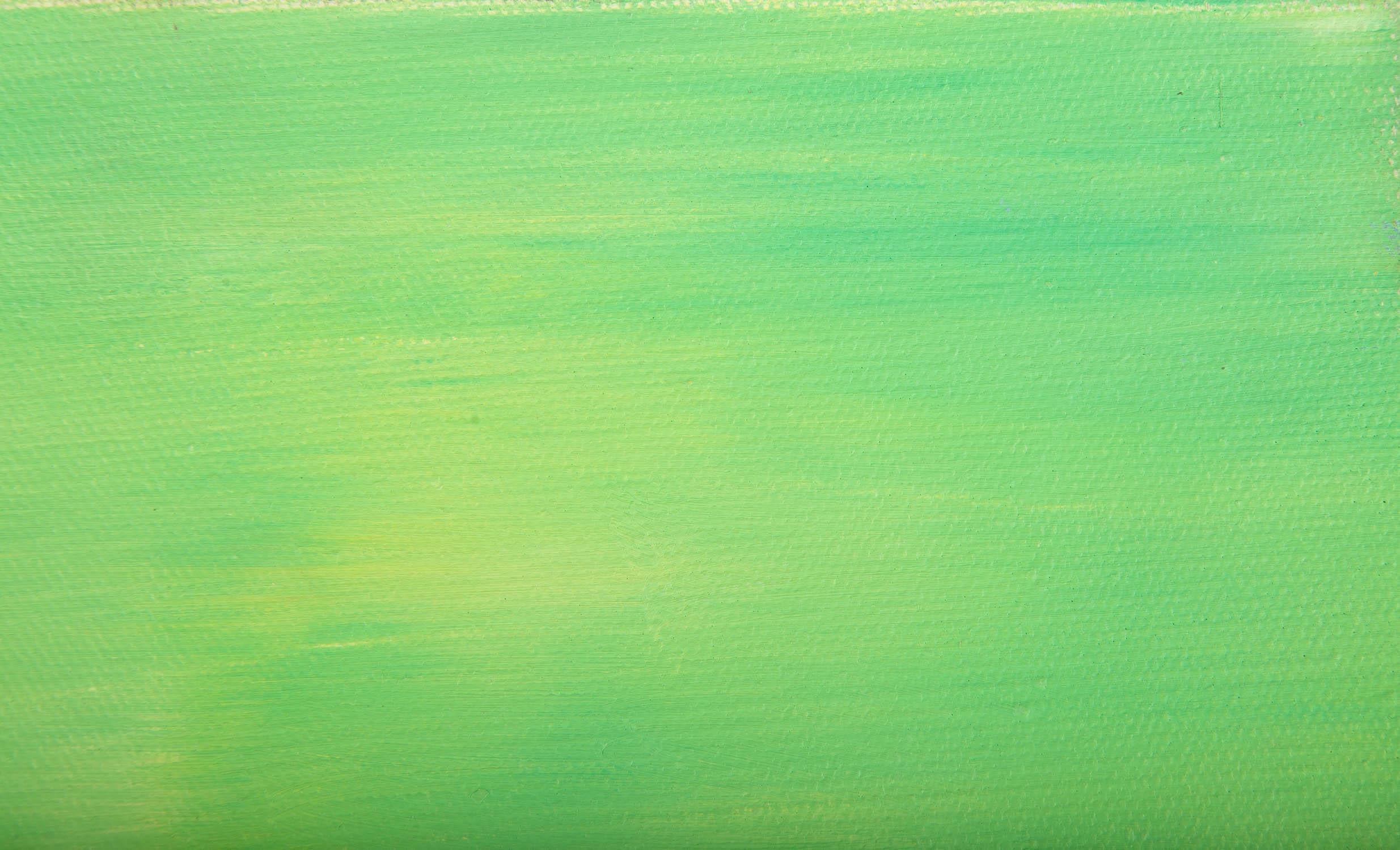 Zhaohui Zeng Impressionist Original Oil On Canvas 