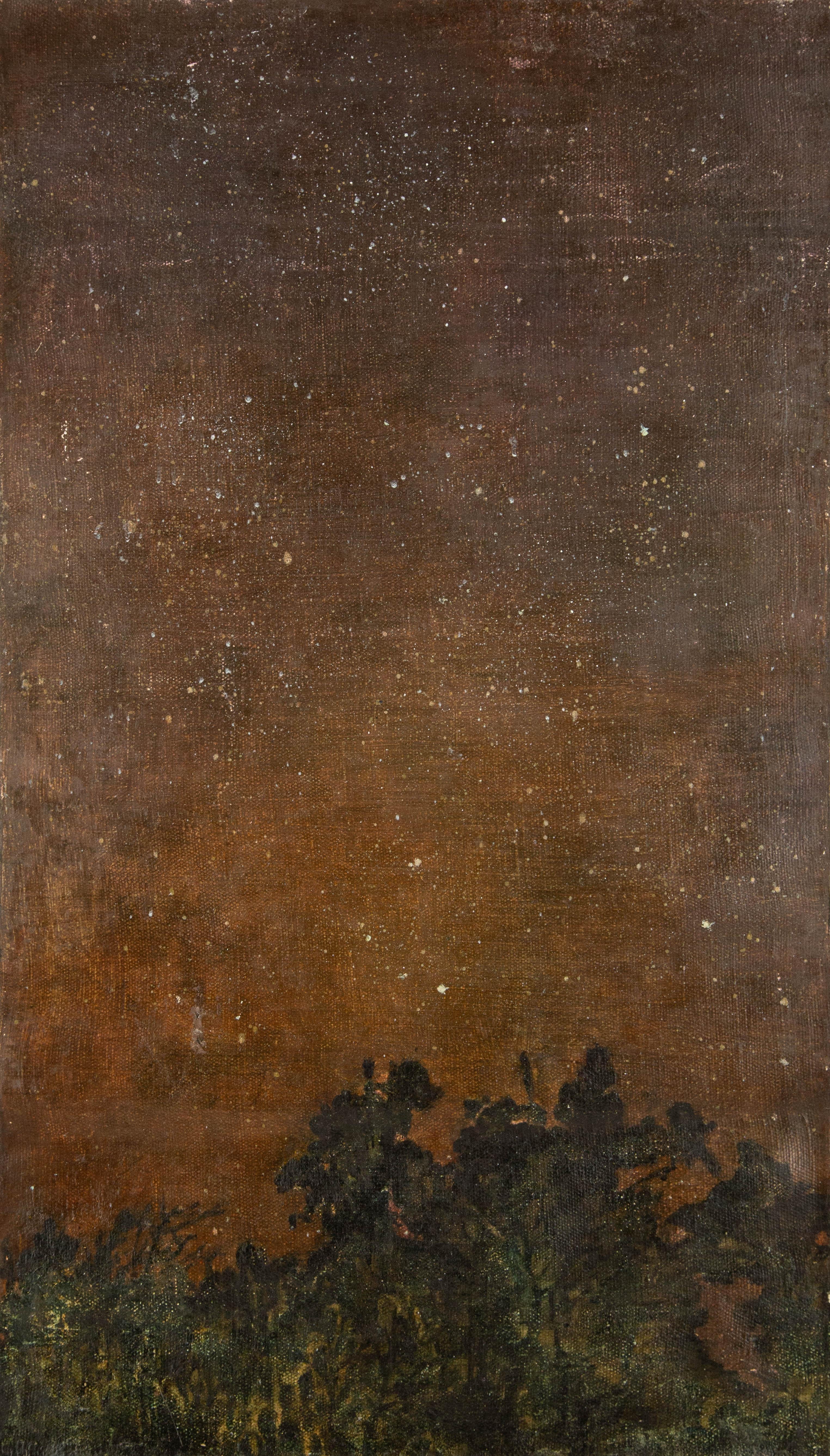Abstract Painting di Zhilin Zheng - ZhiLin Zheng Olio originale astratto su tela "Wilderness Night" (Notte selvaggia)