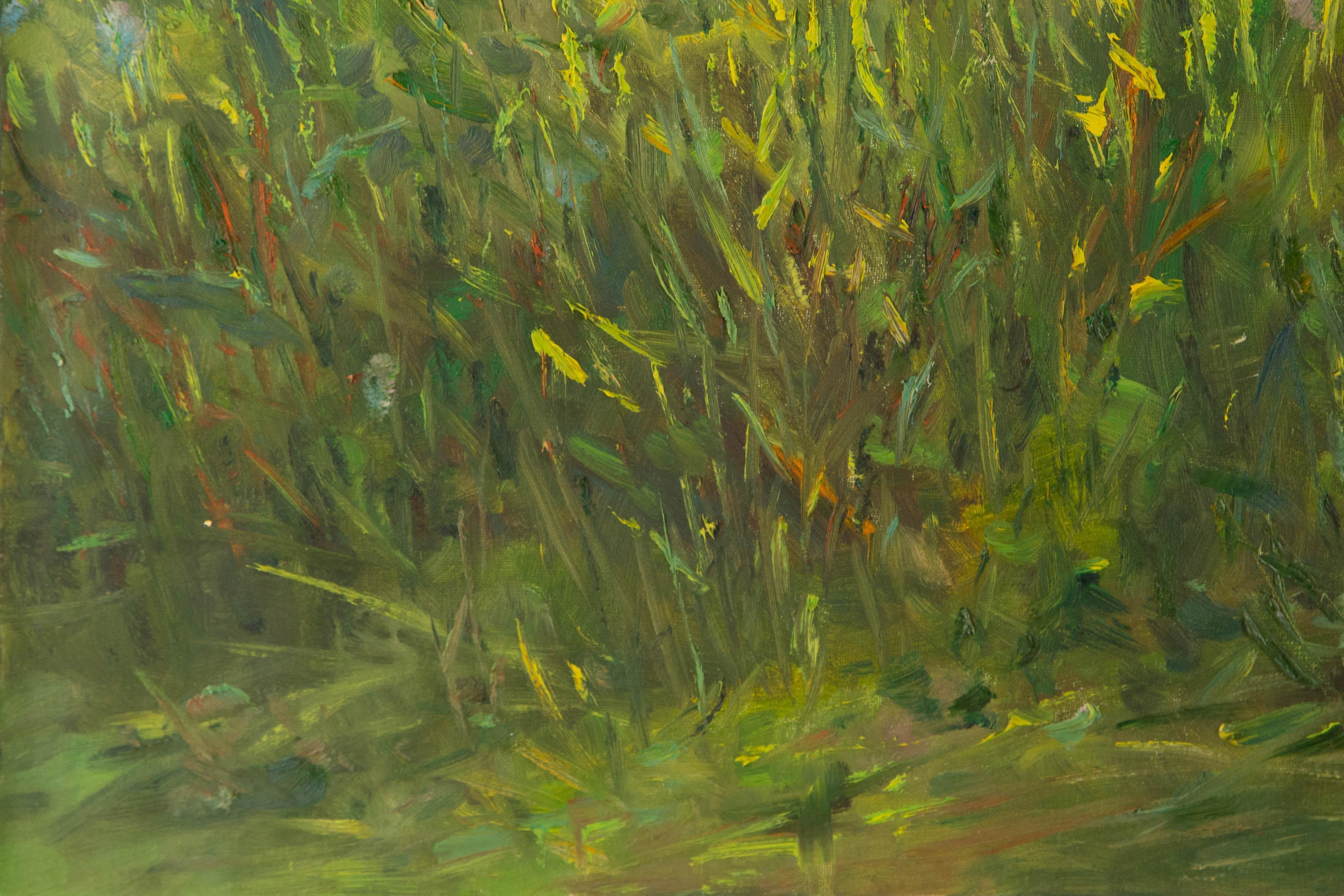 Olio originale su tela 