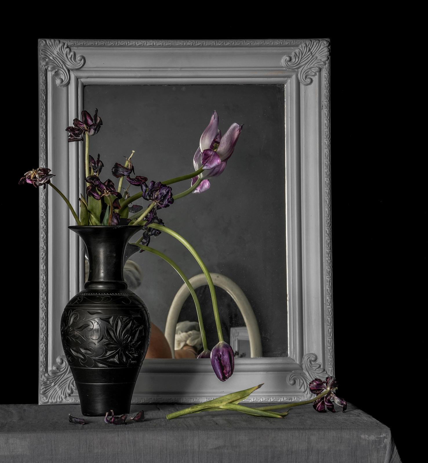 Zoë Zimmerman Still-Life Photograph - Black Tulips