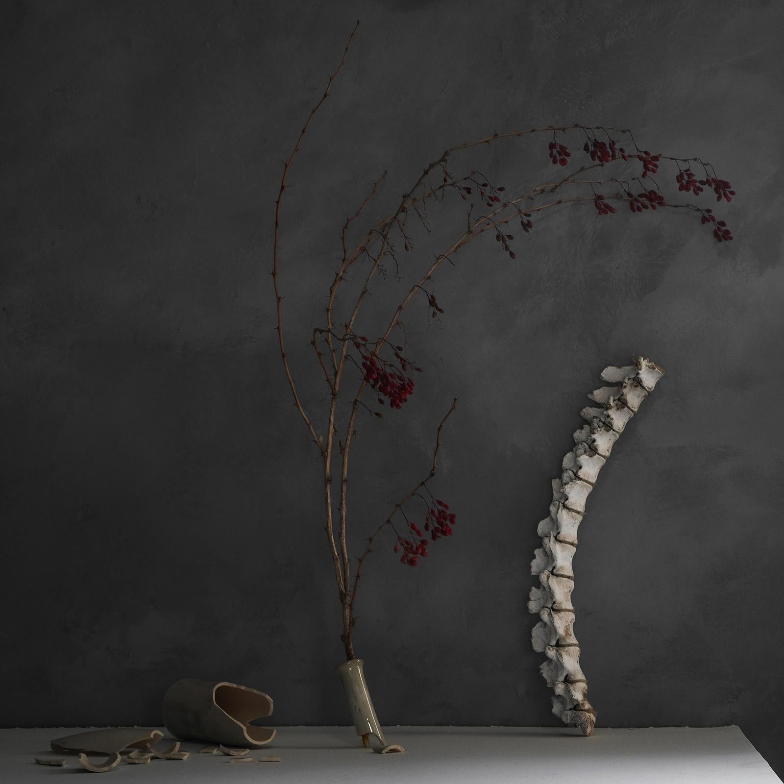 Zoë Zimmerman Still-Life Photograph - Pandemic #60