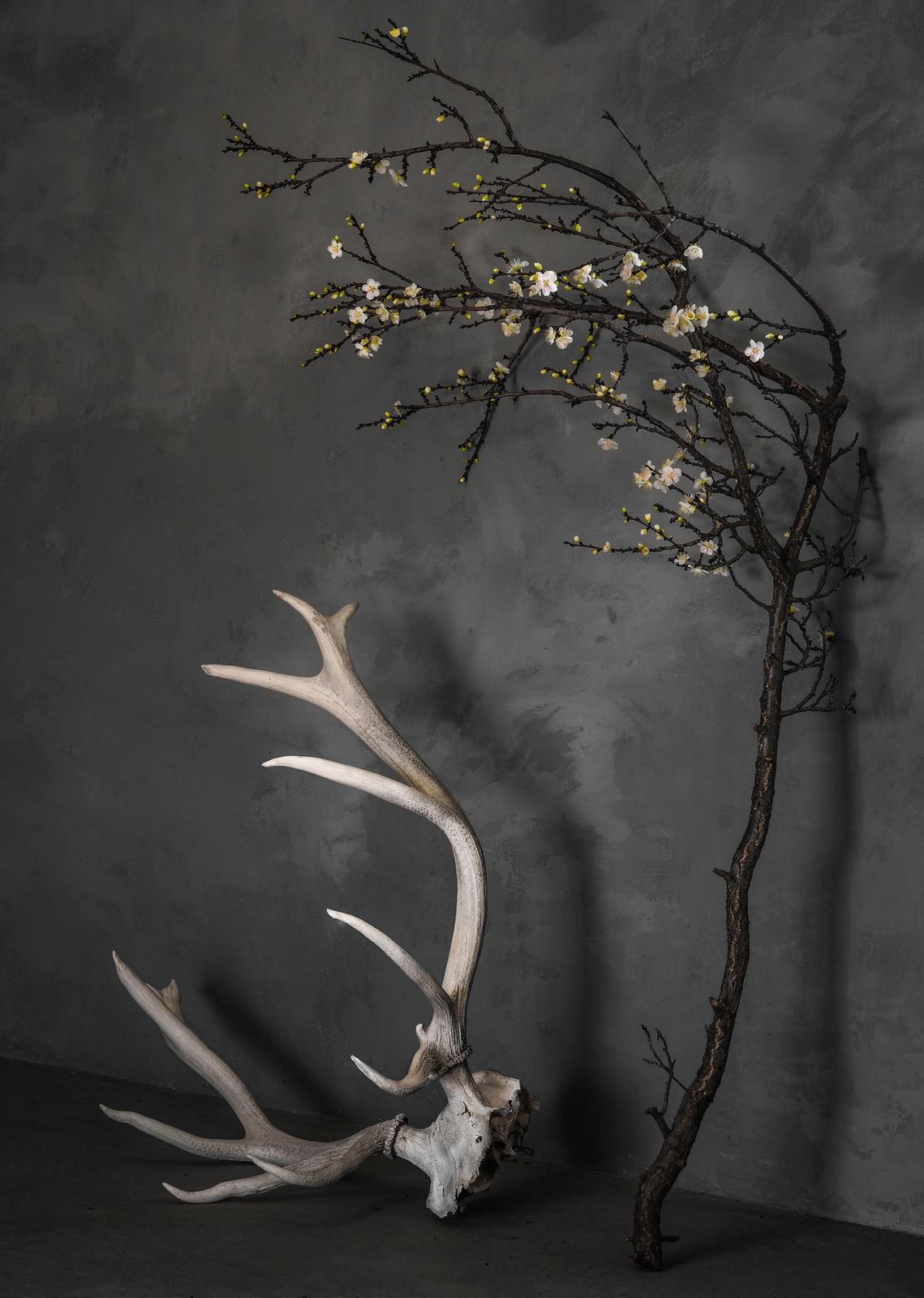 Color Photograph de Zoë Zimmerman - Pandemia nº 72