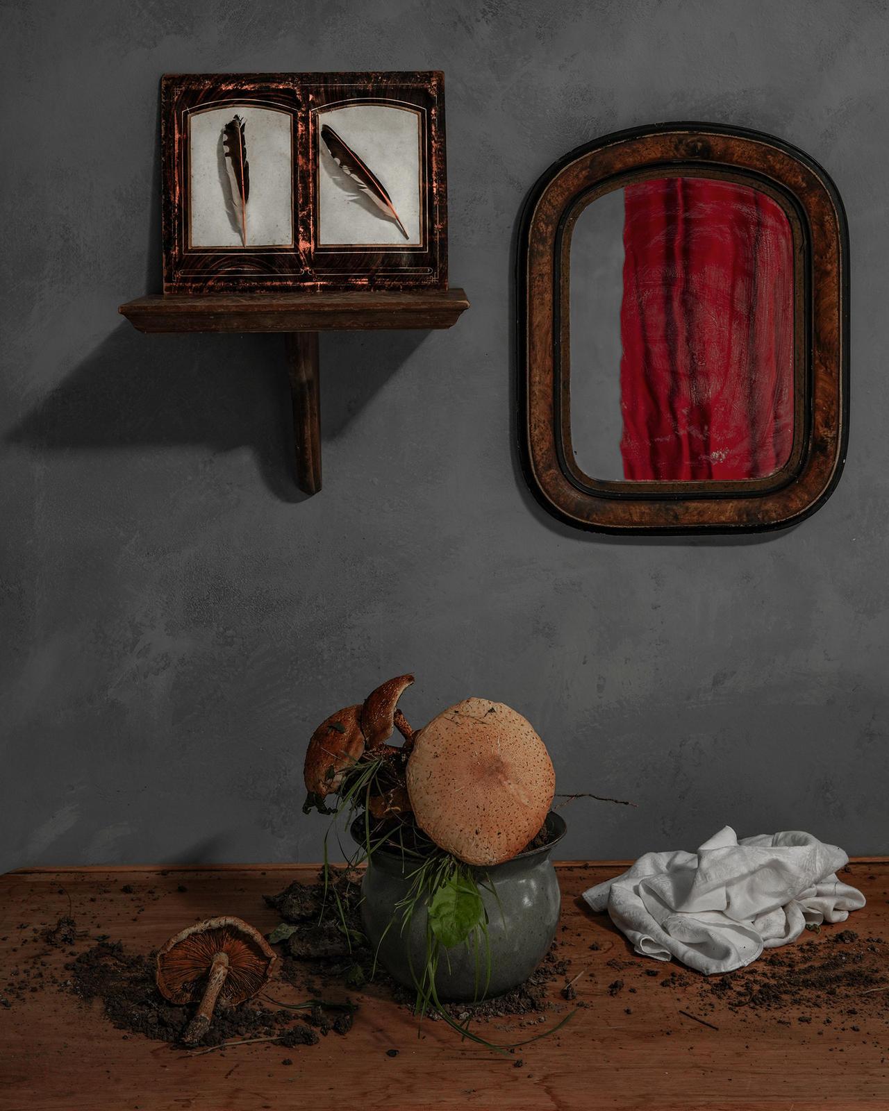 Still-Life Photograph de Zoë Zimmerman - Pandemia nº 93