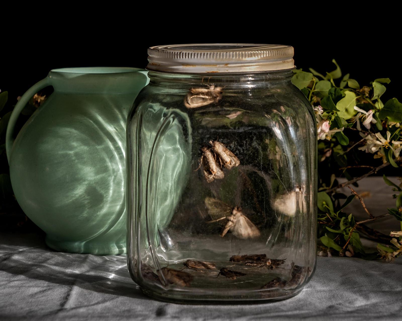 Still-Life Photograph Zoë Zimmerman - Quarantine n°51 (Jour n°65)
