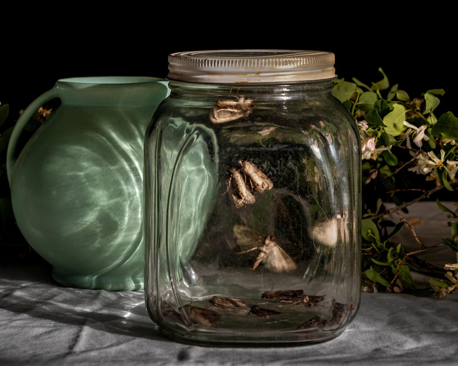 Zoë Zimmerman Still-Life Photograph – Quarantin #51 (Tag #65)