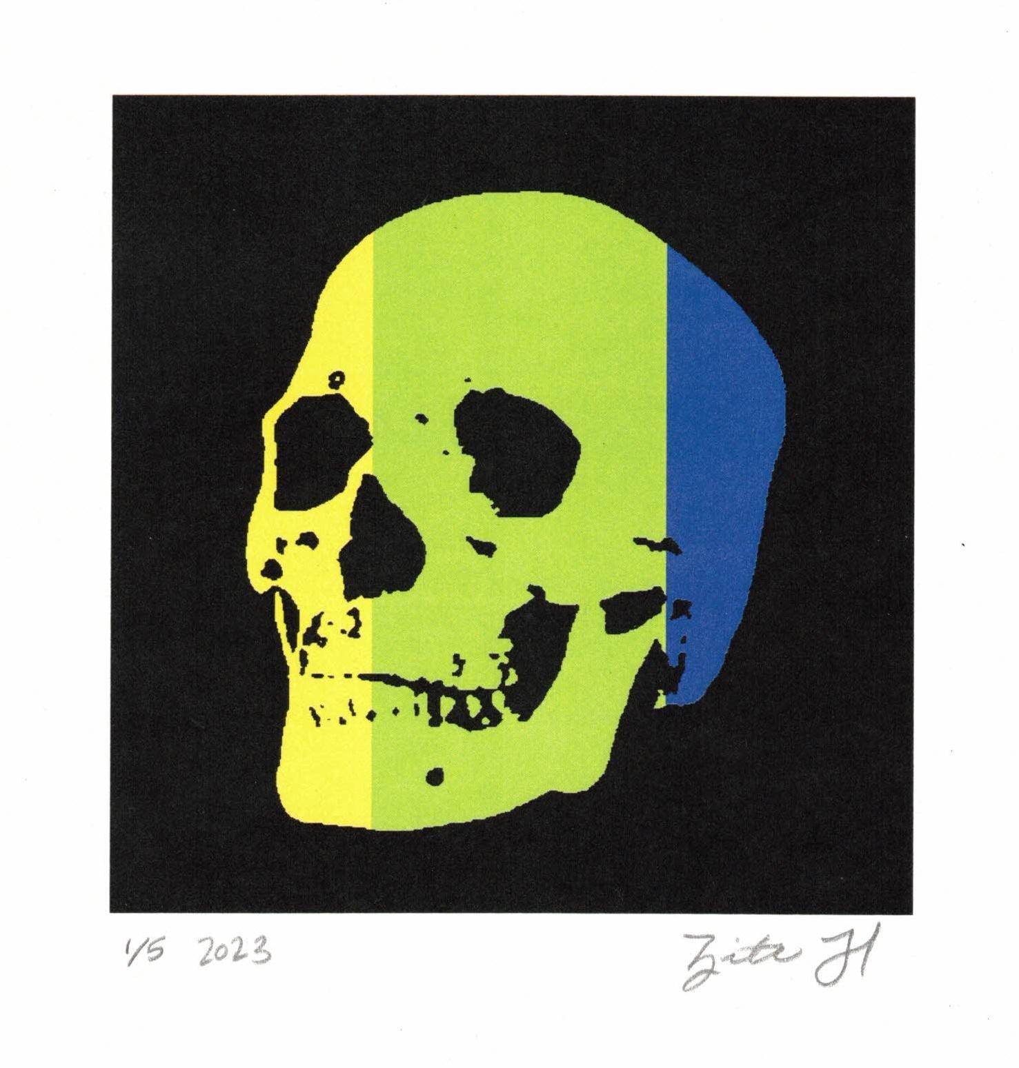 Rainbow Skull #248 - Print by Zita Hastings