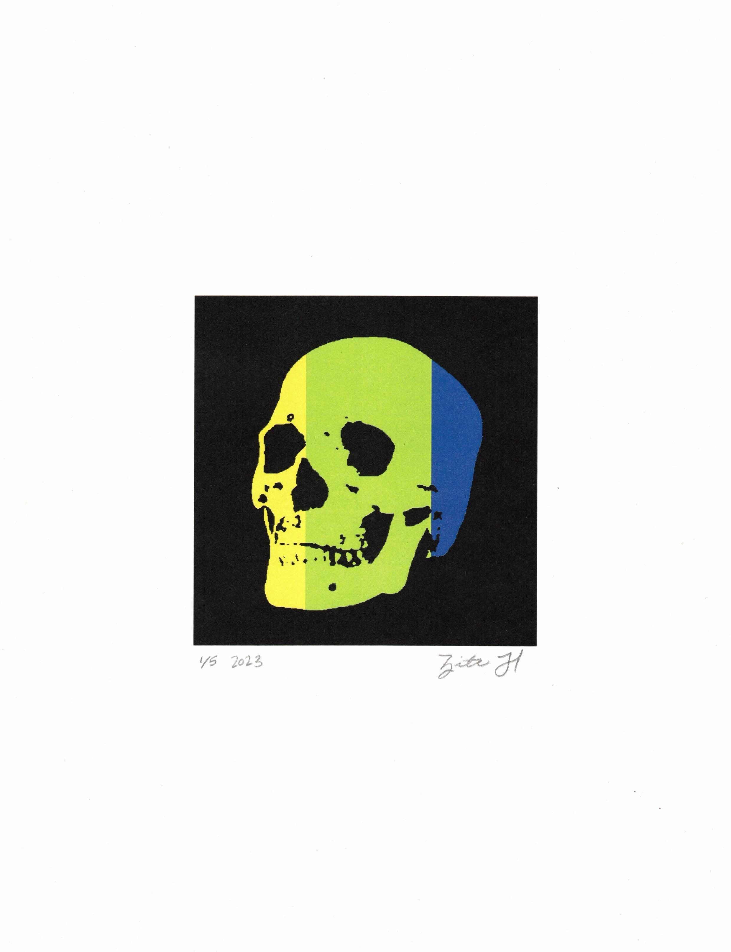 Zita Hastings Figurative Print - Rainbow Skull #248