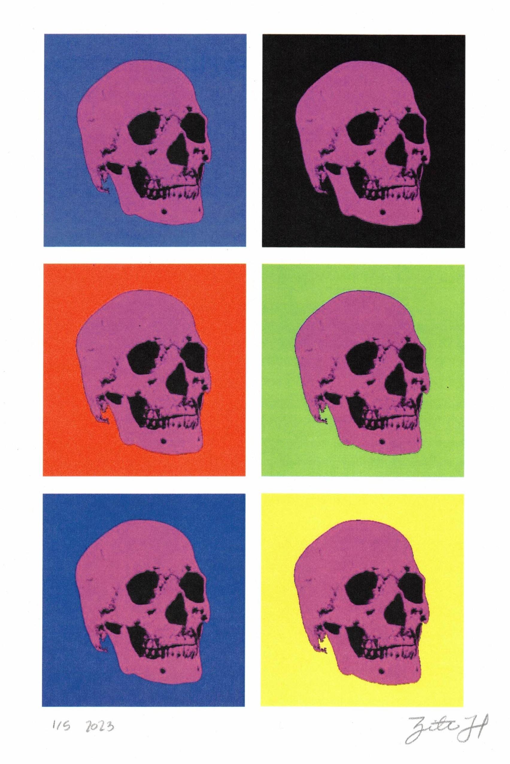 SKULLS #227 - Print by Zita Hastings