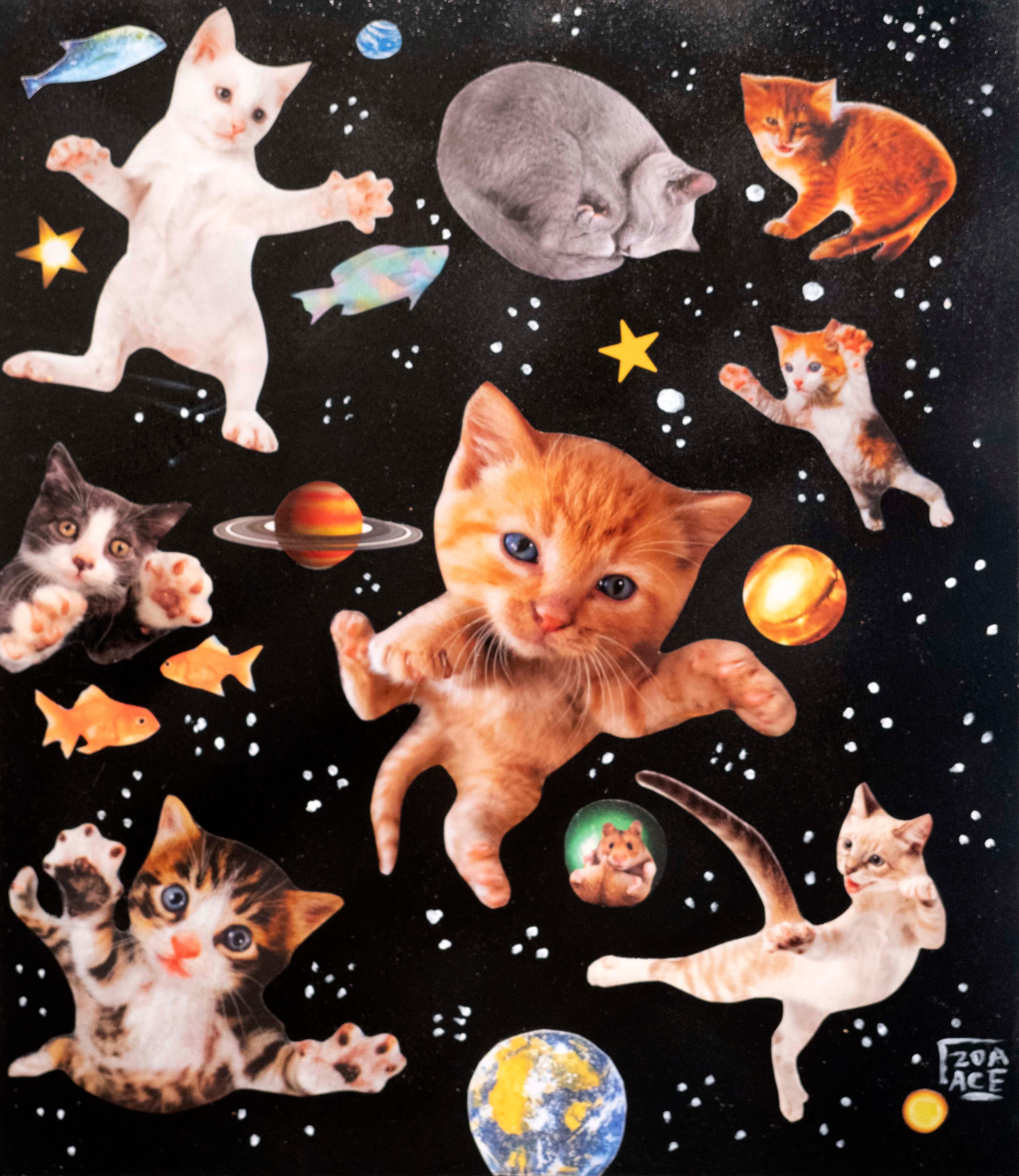 Zoa Ace Animal Painting - Stray Cats
