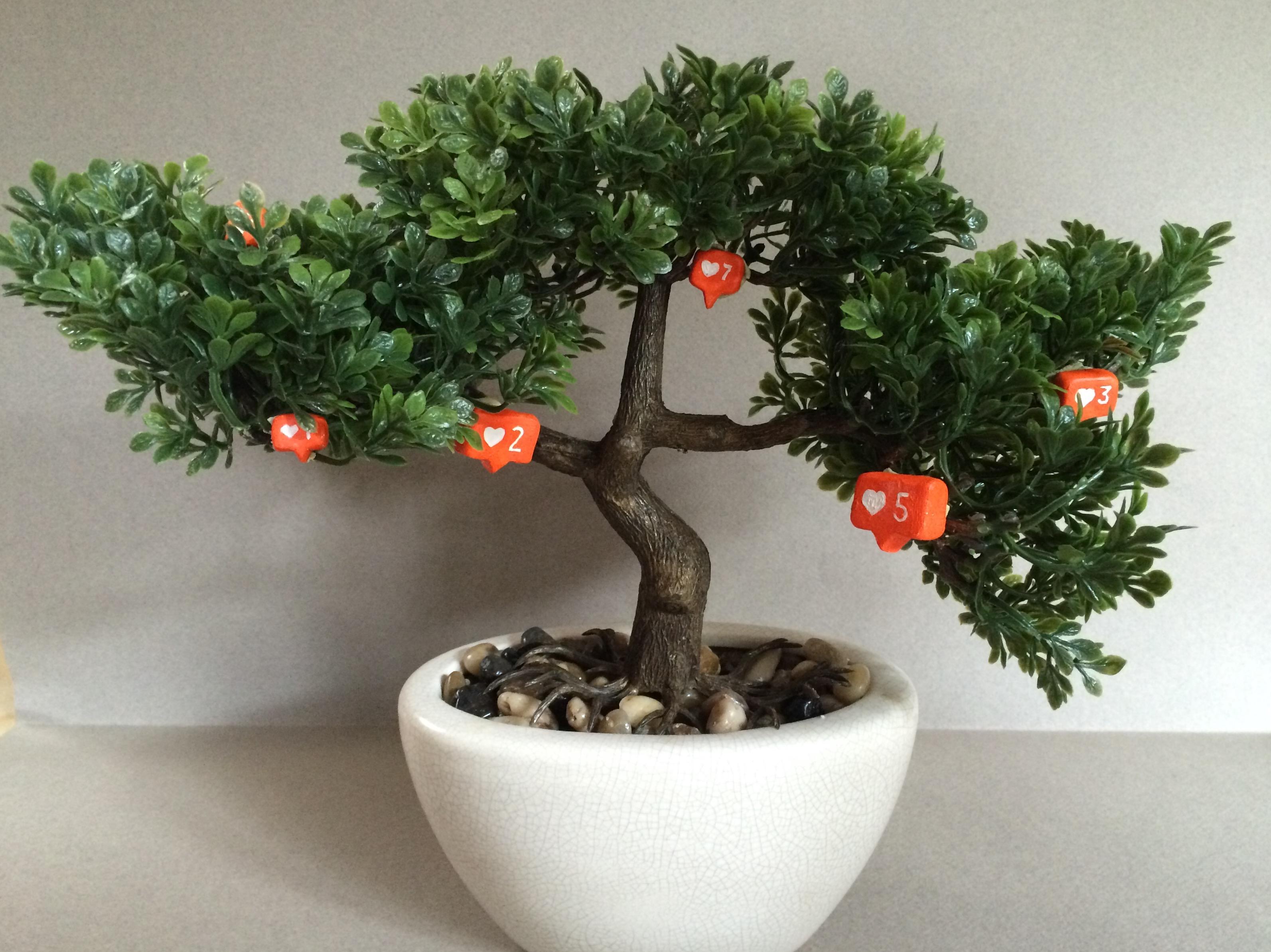 Likes don't grow on trees