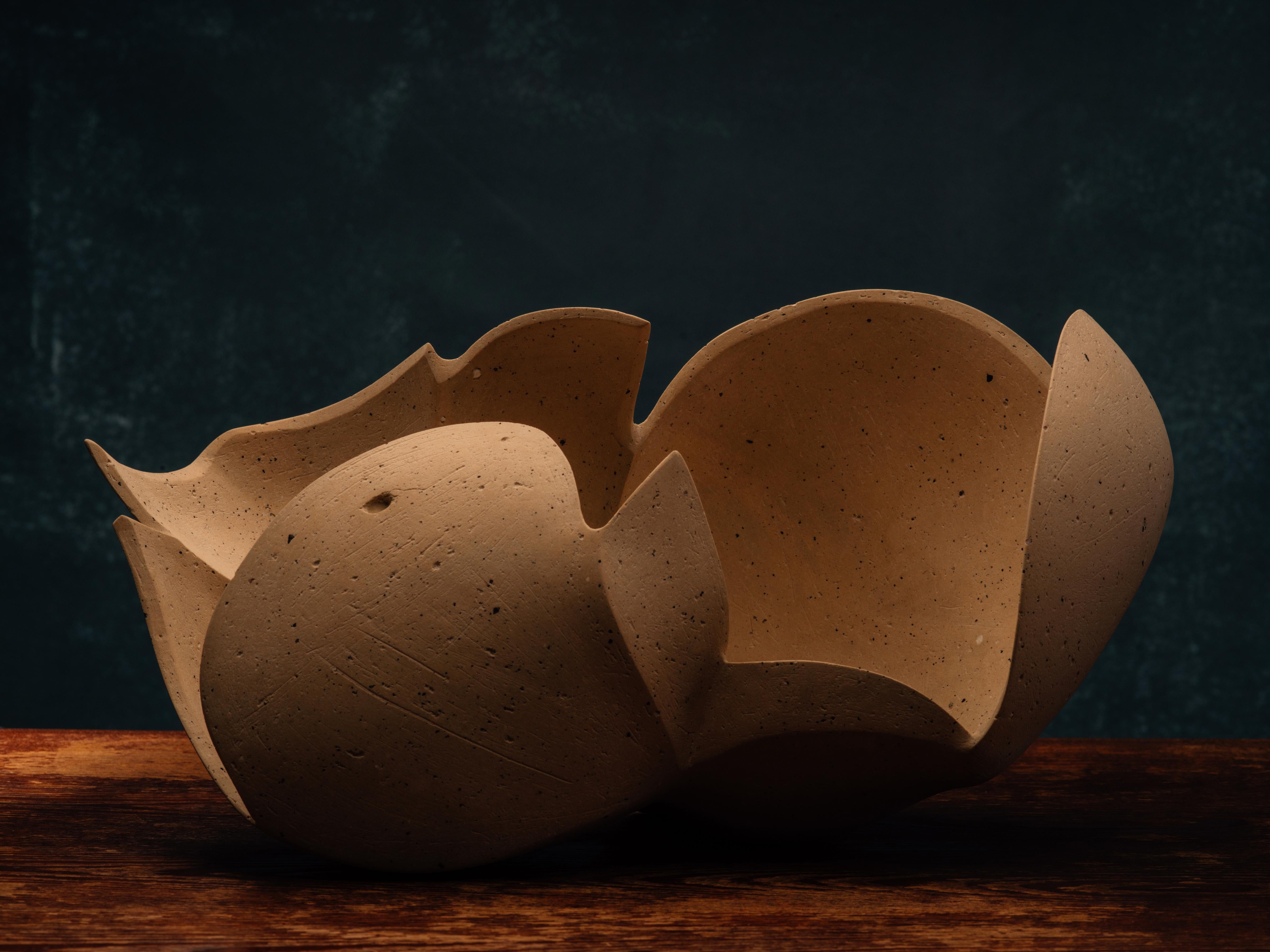Title: Perianth 07 
Year: 2021

Freeform ceramic sculpture made from a blend of porcelaneous and stoneware clays hand-collected by the artist in Minnesota. Its surface is hand-polished with diamond sandpaper to render a matte finish. Signed with the