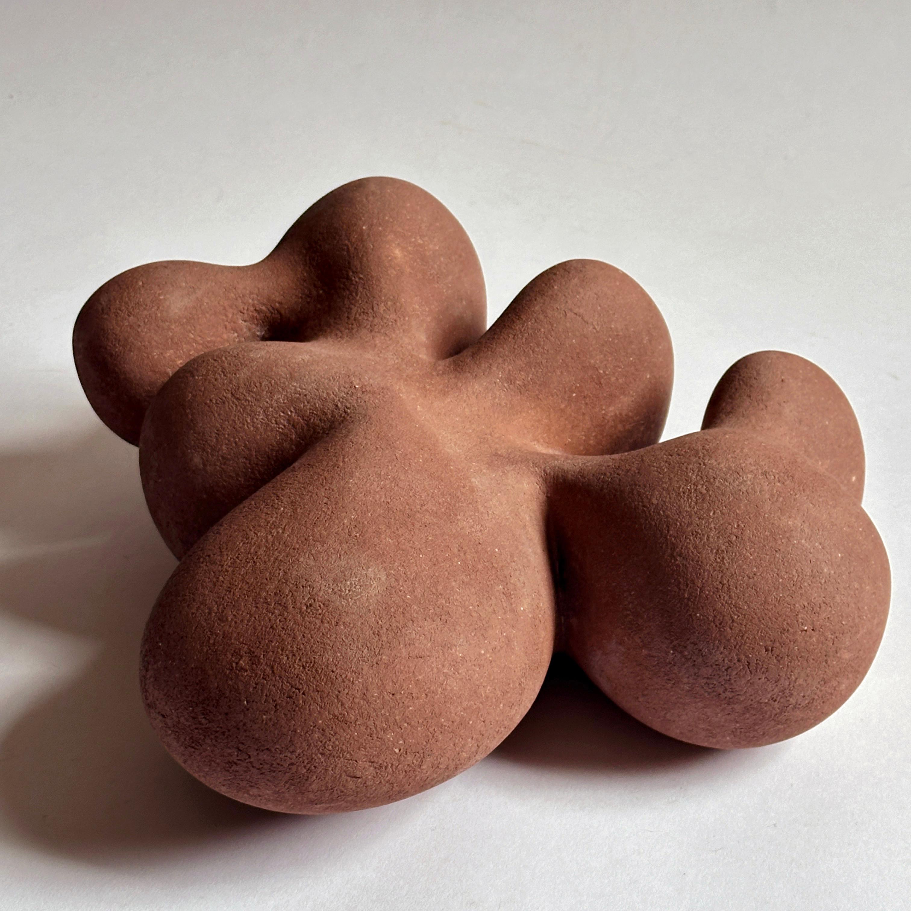 Escultura de cerámica cerrada de forma libre, hecha con una mezcla de arcillas de gres de alto contenido en hierro recogidas a mano por el artista en Minnesota. Su superficie está pulida a mano con papel de lija diamantado para darle un acabado