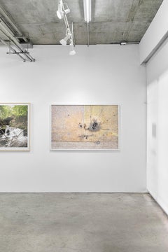 "Animals Feeding" Large Scale Contemporary Minimalist Landscape Photograph