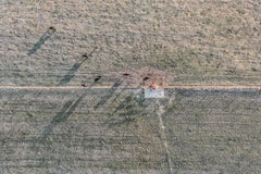 "Farmland Shadows", Contemporary Landscape  Color Photograph, 30"x45"