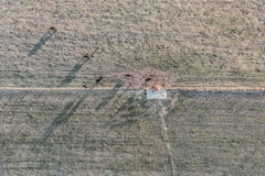 "Farmland Shadows", Contemporary Landscape  Color Photograph, 30"x45" 