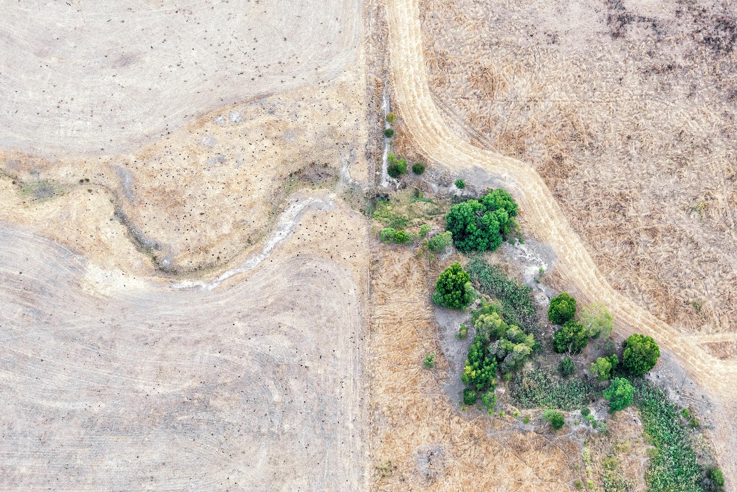 40"x60" limited edition of 5, signed on reverse by the artist.  A vertical line bisects the two sides of this landscape photograph, with an arid dry field on the left and on the right of the image, bright green trees and verdant foliage burst with