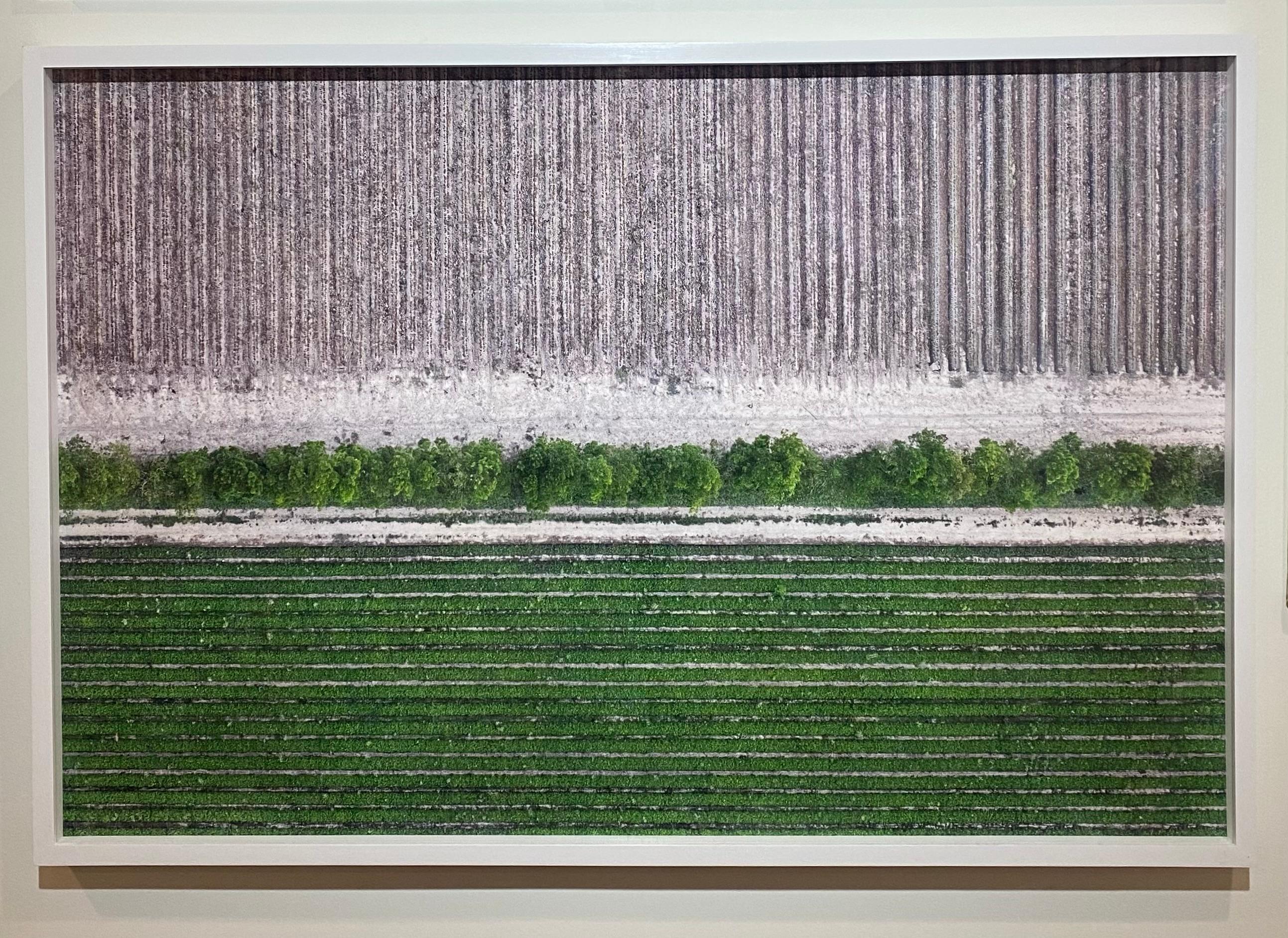 Crop Lines, Contemporary Abstract Color Landscape Photograph, framed For Sale 1
