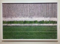 Hint of Green, fotografia astratta contemporanea di paesaggio a colori, edizione limitata