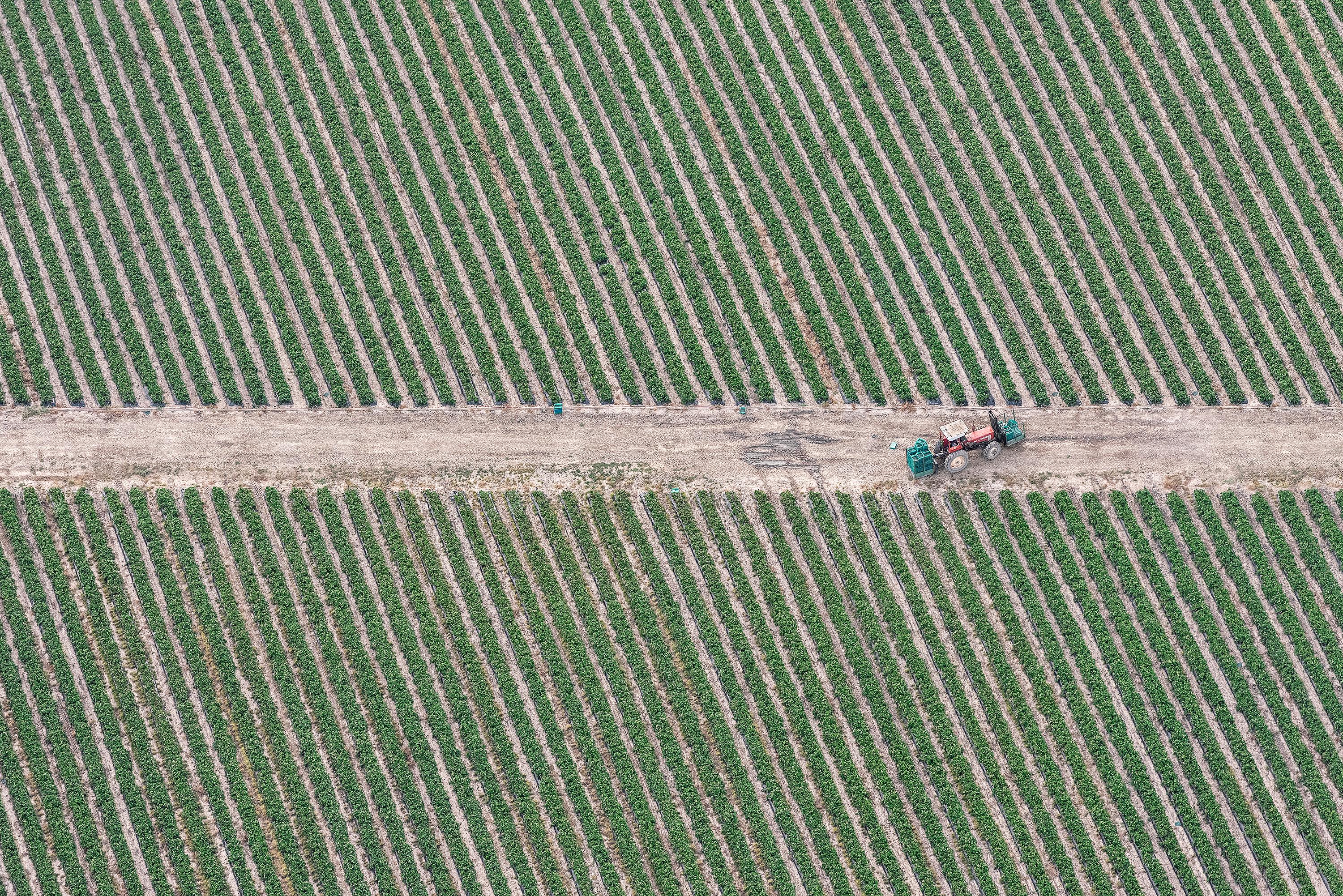 Zoe Wetherall Abstract Photograph - "Tractor" Minimalist Contemporary Color Photograph (green and earth-tone aerial)