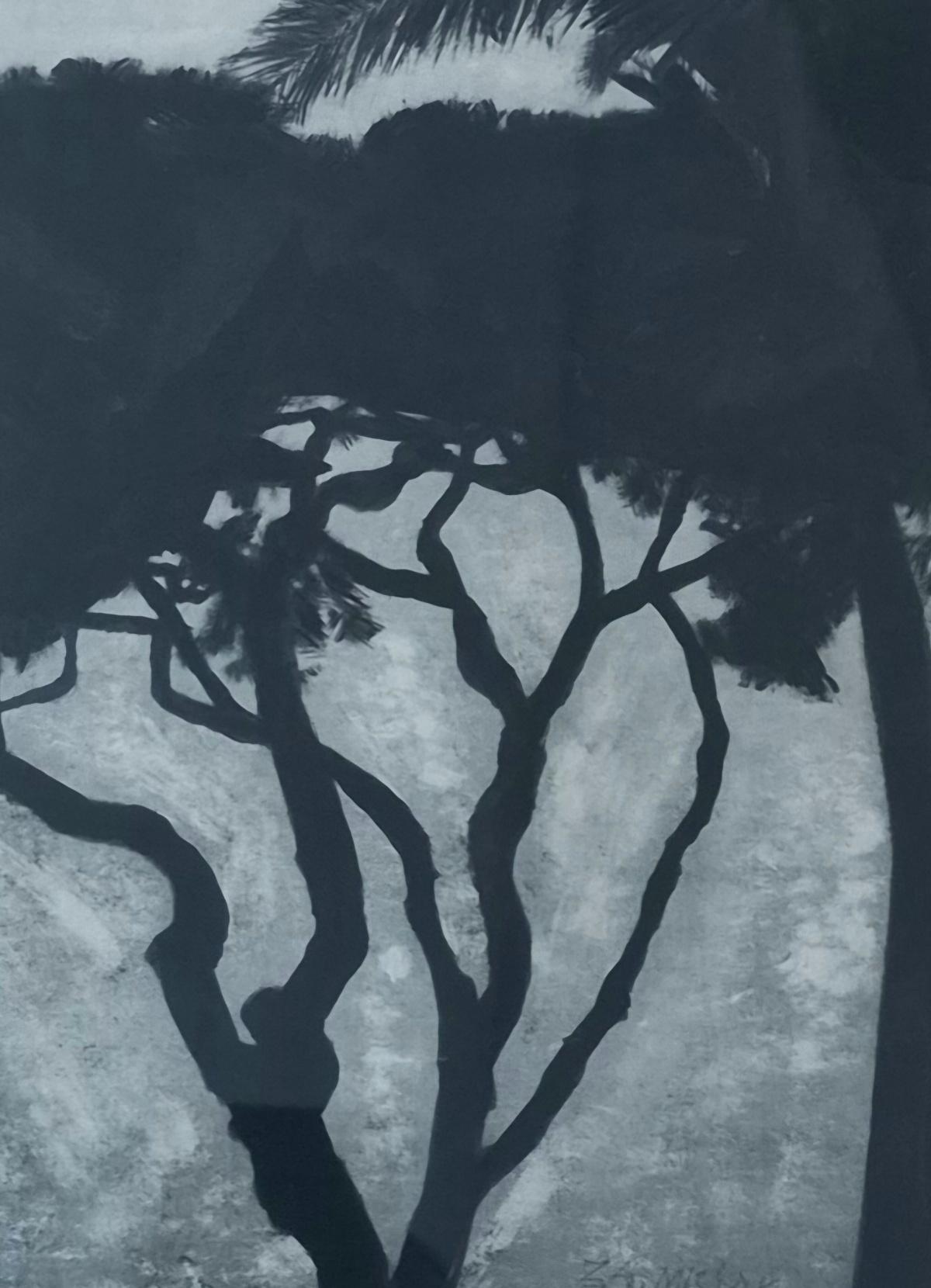 Albero della vita. Disegno a tecnica mista, Bianco e nero, Artista polacco