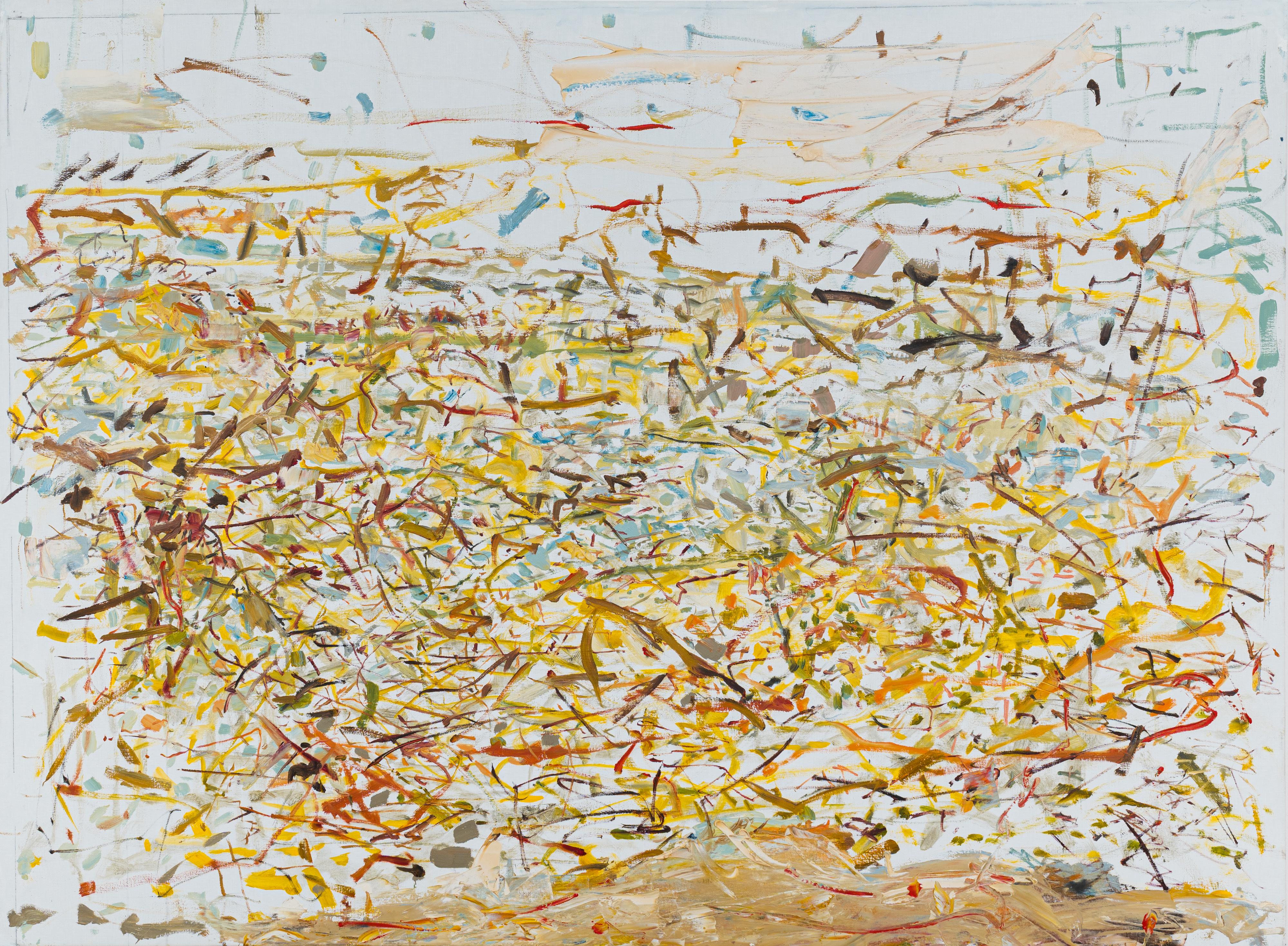 Desert - Mixed Media Art by Zohar Cohen