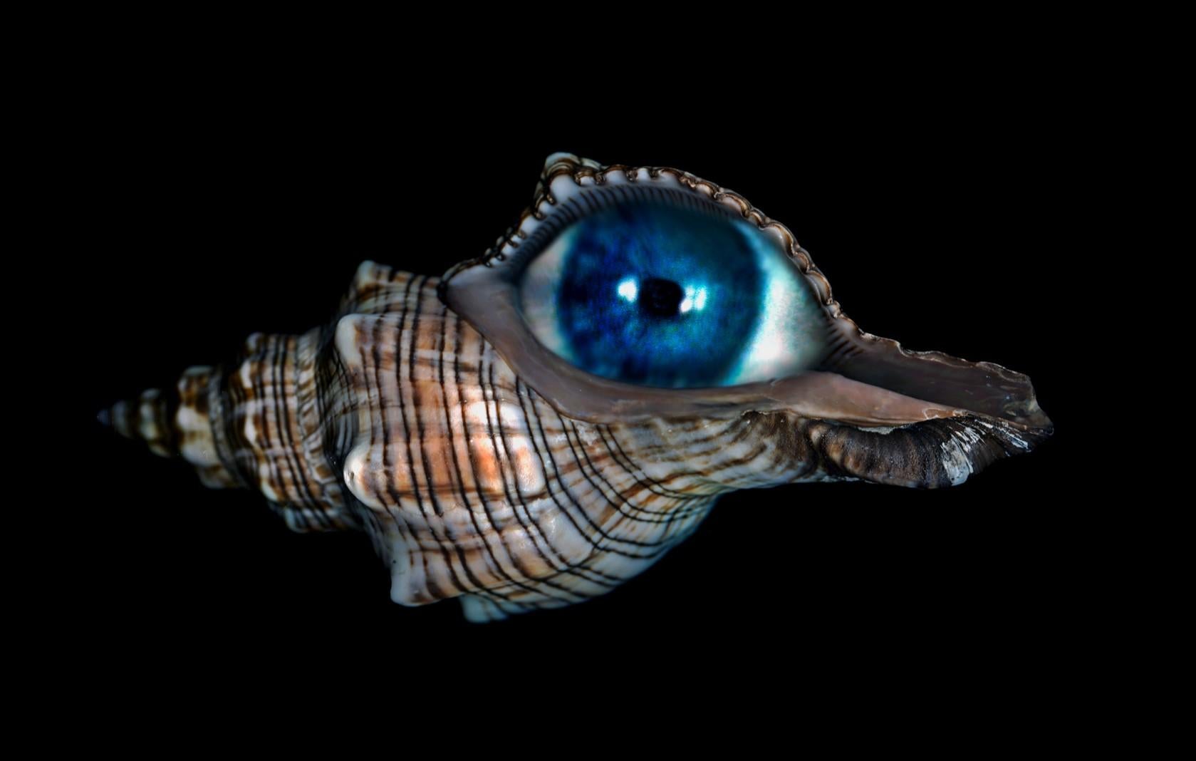 Bleu américain #1. Photographie couleur - Noir Color Photograph par Zoltan Gerliczki