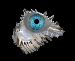 Bleu de Belgique #1. Photographie couleur