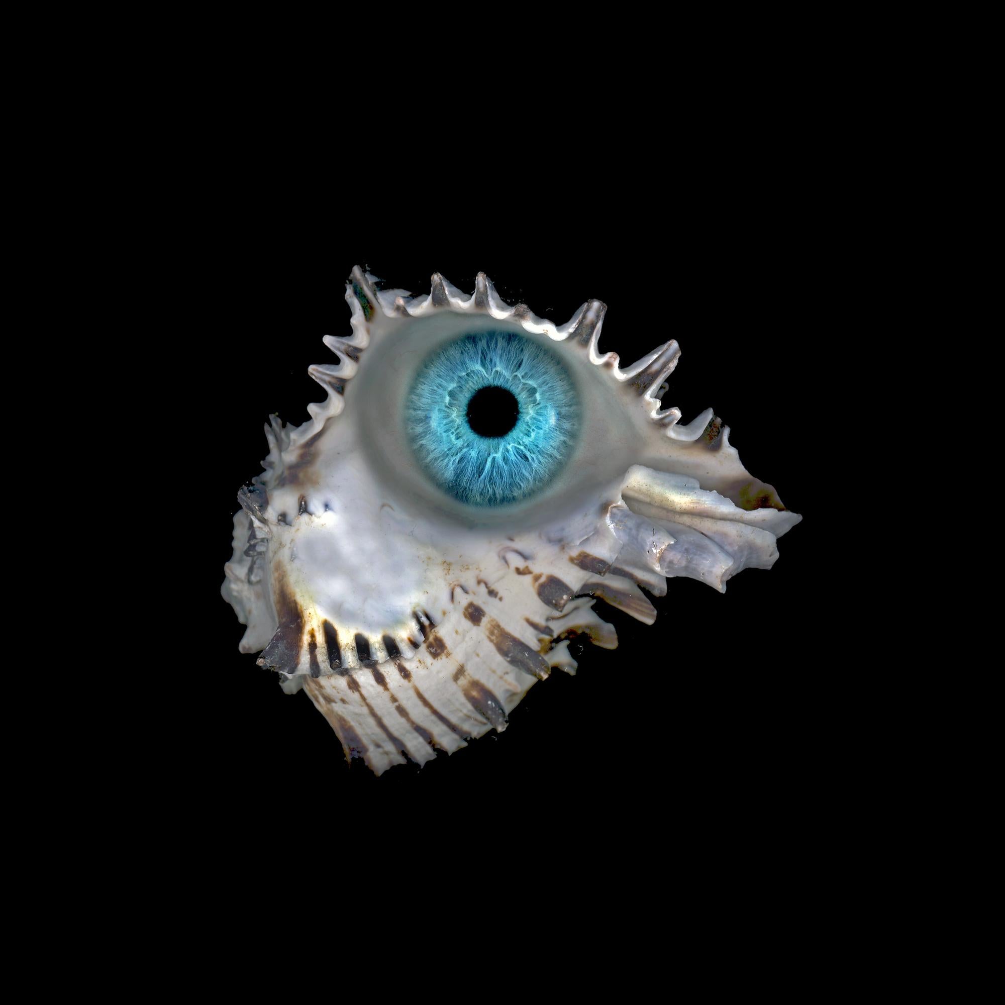 Bleu de Belgique #1. Photographie couleur