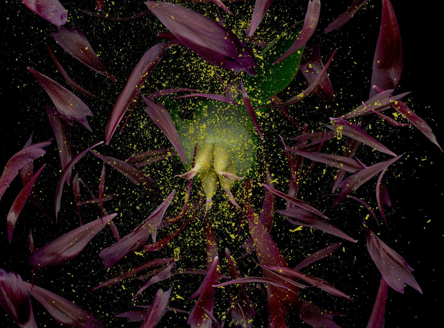 Broken Celebrity. #4. Color Photograph For Sale 1