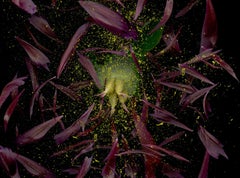 Celebrità spezzata. #4. Fotografia a colori