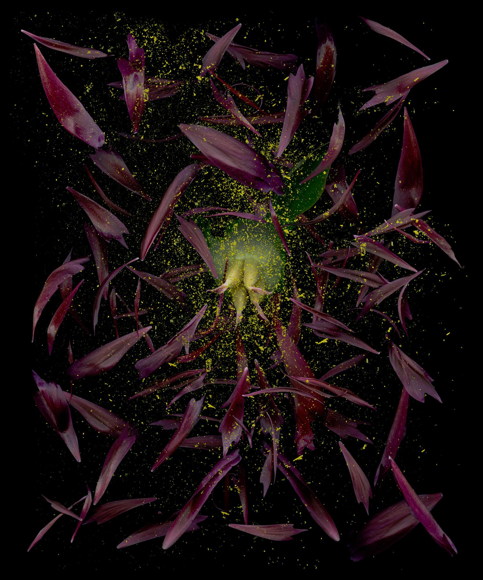 Gebrochene Berühmtheit. #4. Farbfotografie