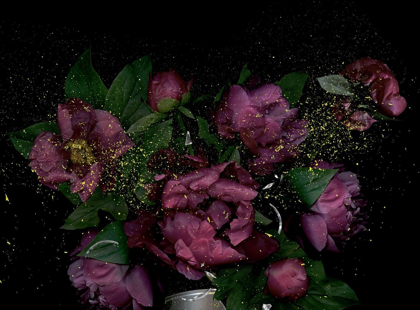 Célébrité brisée #5. Photographie couleur - Noir Still-Life Photograph par Zoltan Gerliczki