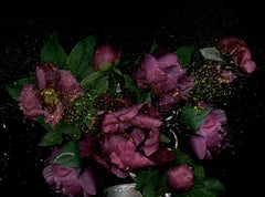 Celebrità spezzata #5. Fotografia a colori