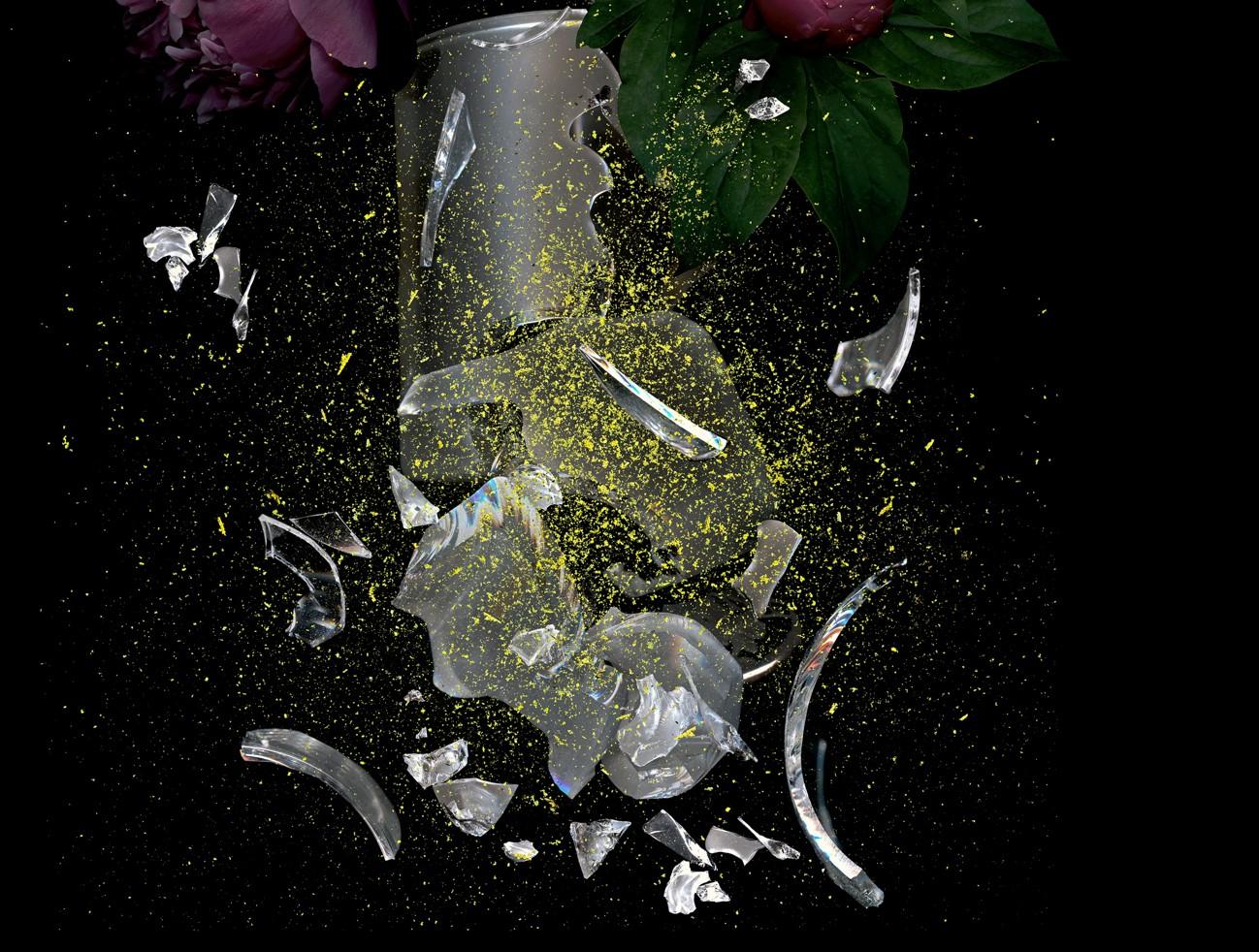 En tant qu'artiste, il est fasciné par l'opulence et la richesse des natures mortes de l'âge d'or de la peinture hollandaise du 17e C. Ces œuvres symbolisent bien sûr la mortalité et la nature temporelle des biens matériels. Dans ses natures mortes,