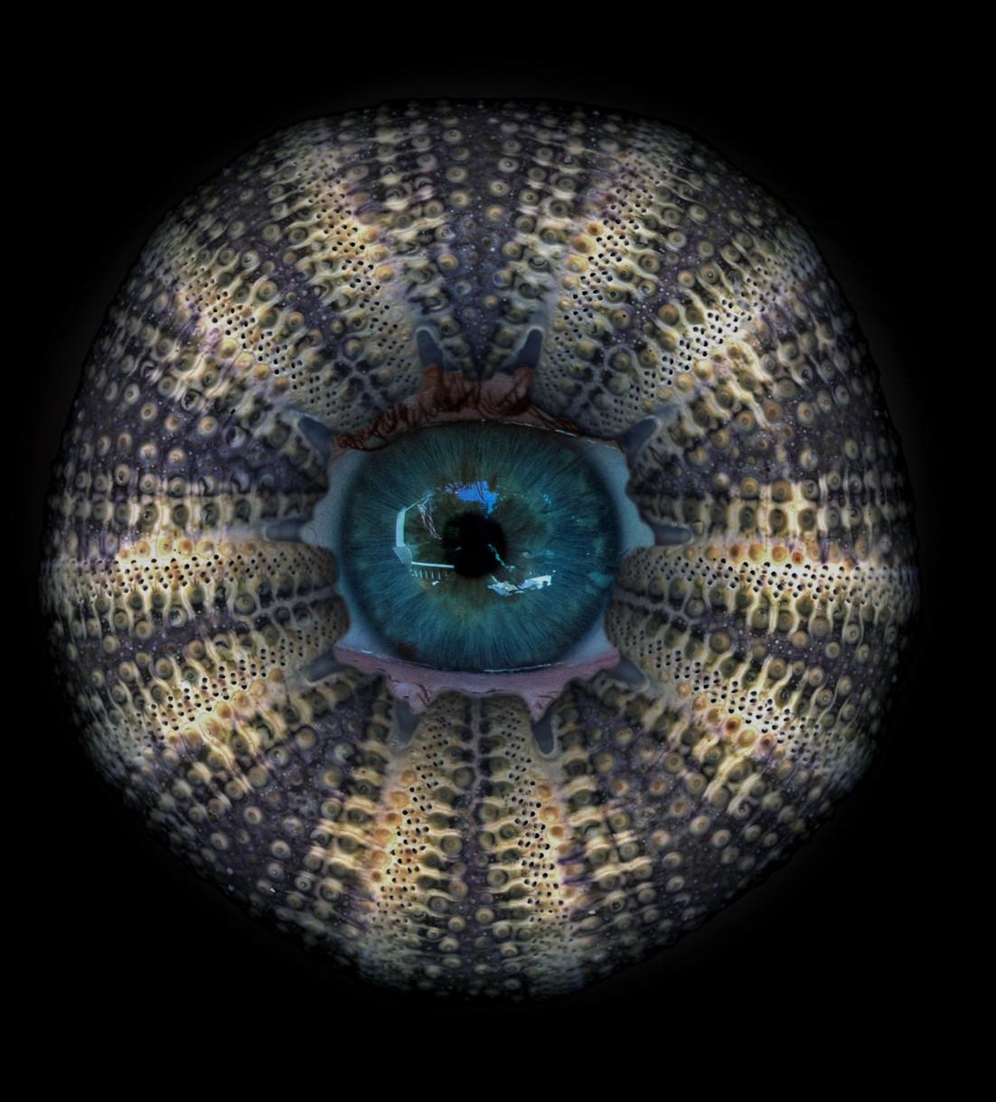 Zoltan Gerliczki a profité des circonstances mondiales pour s'imposer comme un artiste qui traverse les frontières. Les images de Gerliczki sont une continuation du voyage de l'artiste de l'inconnu au numérique, essayant constamment de créer un