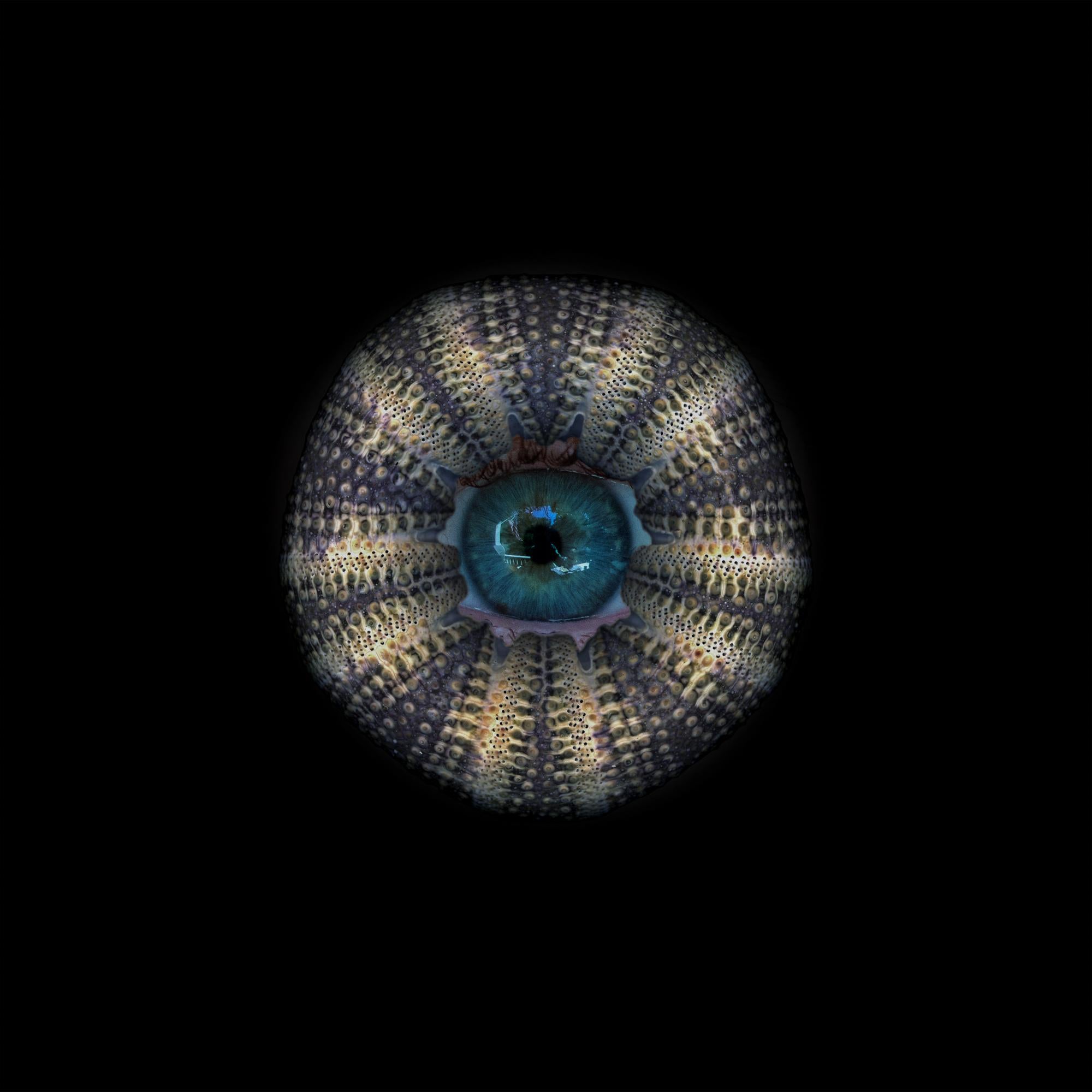 Color Photograph Zoltan Gerliczki - Bleu corail #1. Photographie couleur