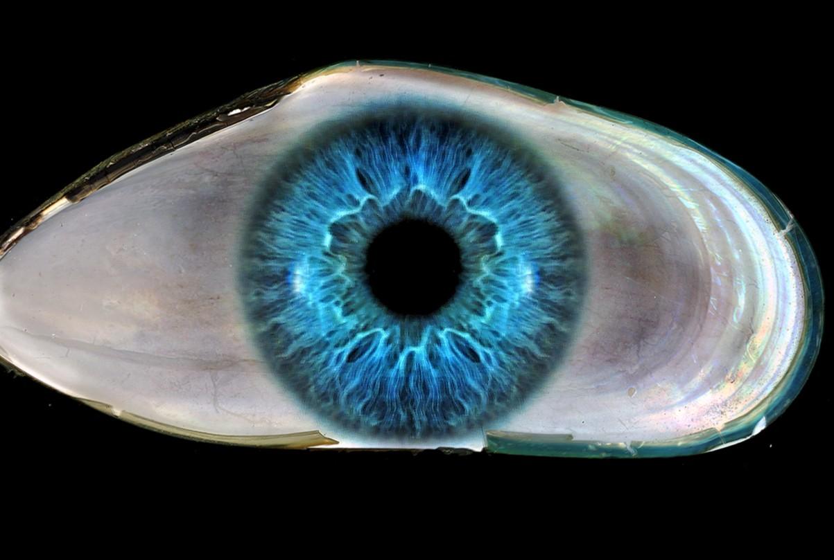 Zoltan Gerliczki a profité des circonstances mondiales pour s'imposer comme un artiste qui traverse les frontières. Les images de Gerliczki sont une continuation du voyage de l'artiste de l'inconnu au numérique, essayant constamment de créer un