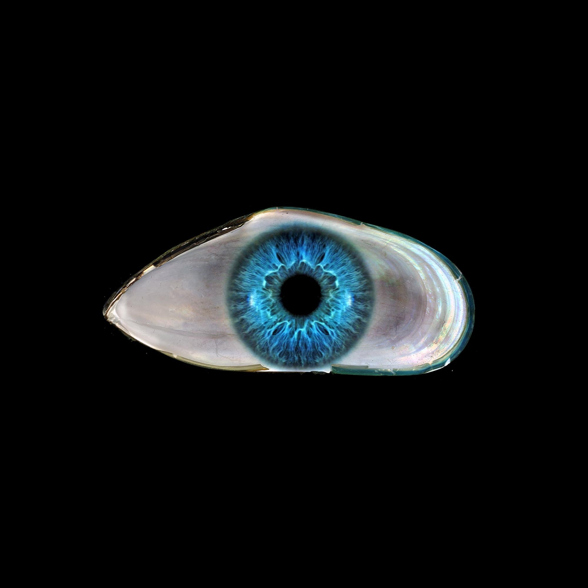 Bleu anglais #1. Photographie couleur