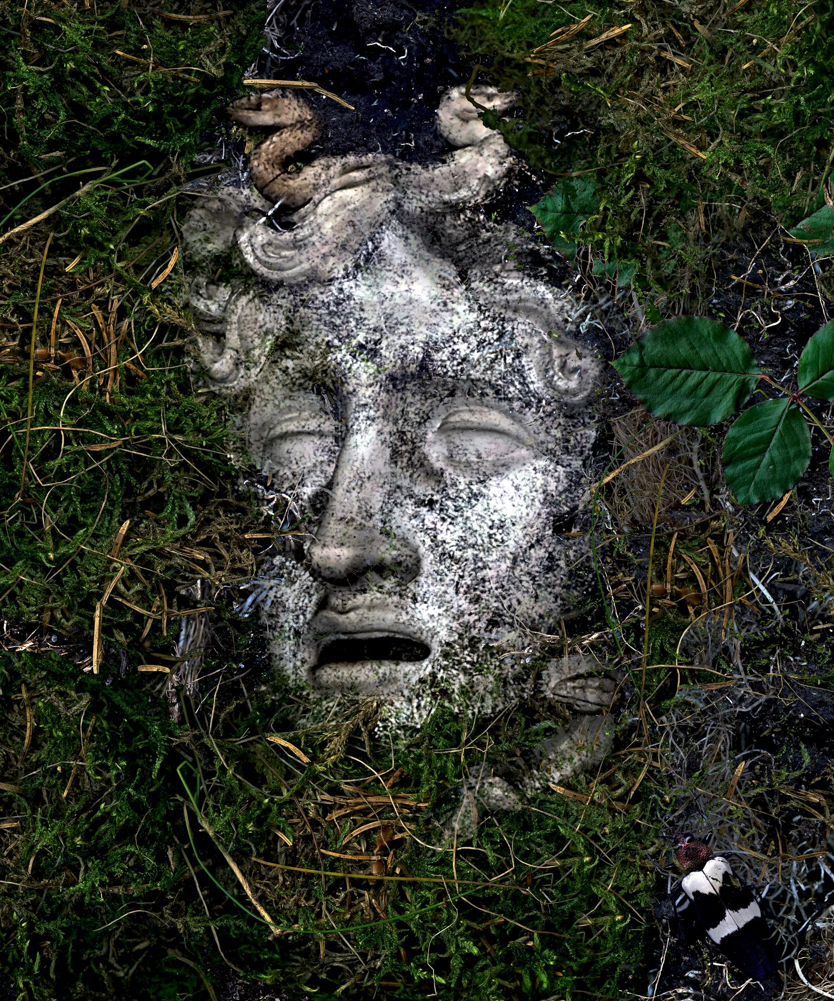 Medusa in the dirt #1. Color Photograph - Black Still-Life Photograph by Zoltan Gerliczki