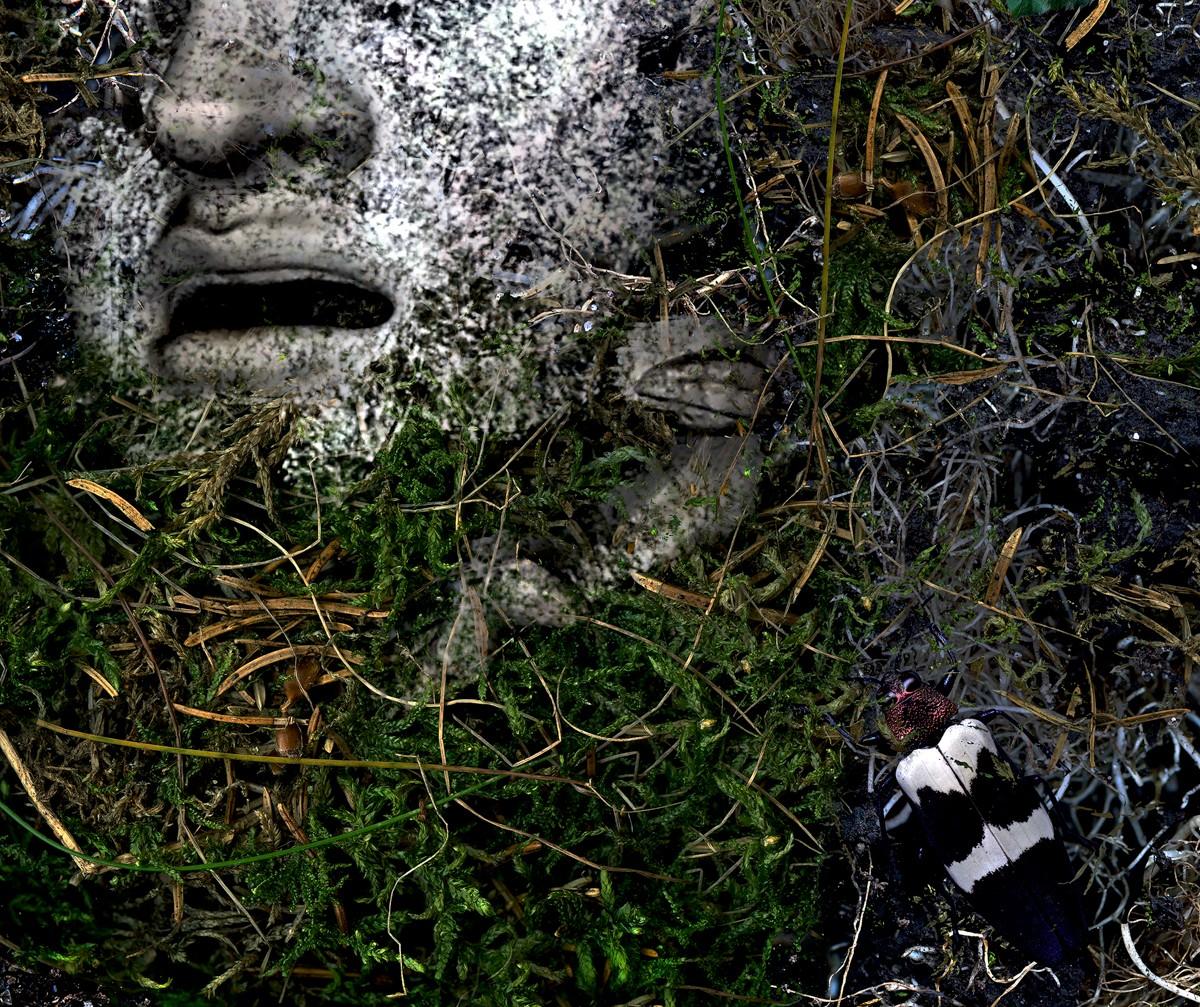 As an artist, He is fascinated by the opulence and richness of still life of the golden age of Dutch painting in the 17th c. These works, of course, symbolize mortality and the temporal nature of material goods. In his still life, He built these