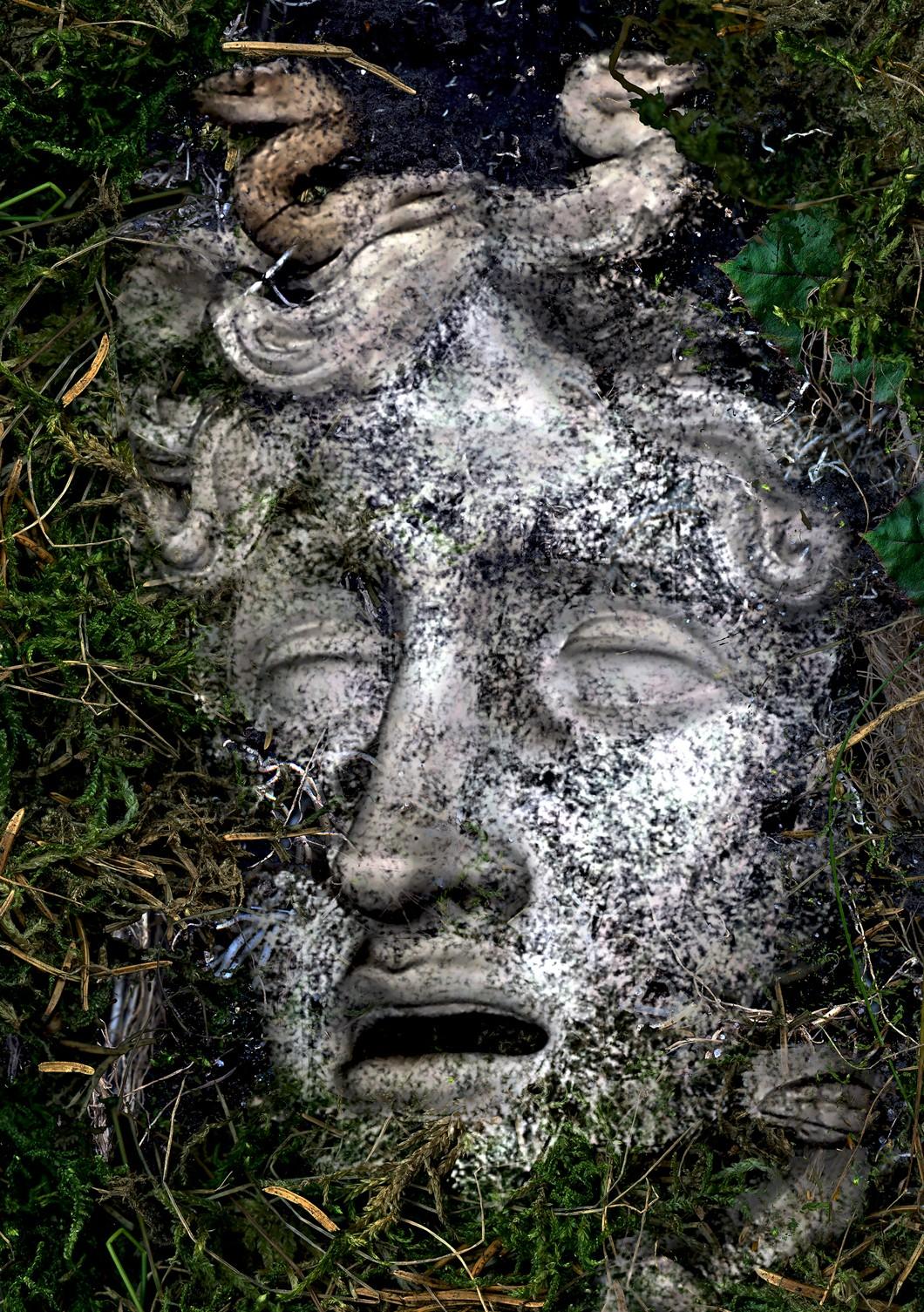 Zoltan Gerliczki Still-Life Photograph - Medusa in the dirt #1. Color Photograph