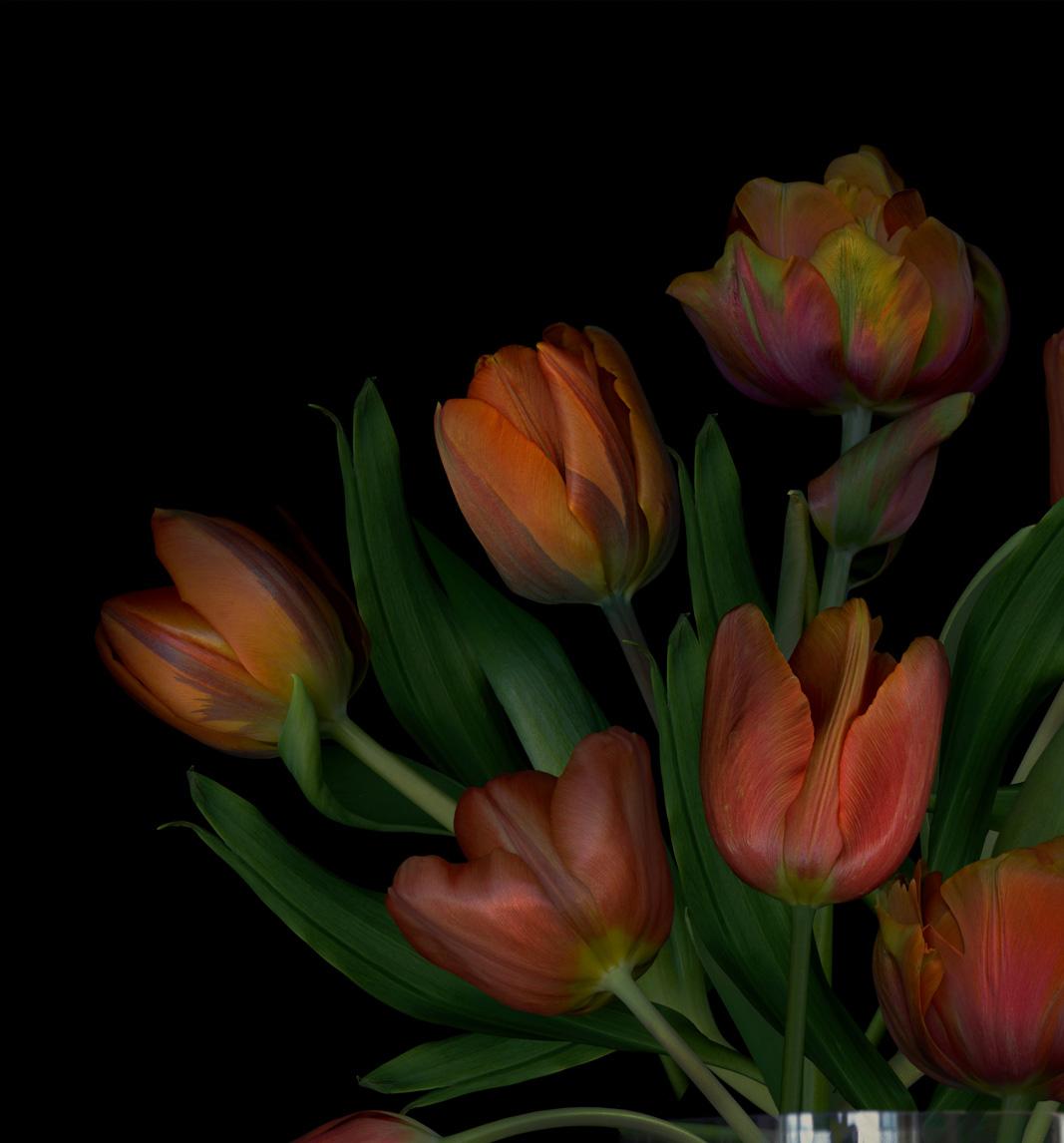 Immer noch orange. Digitale Collage-Farbfotografie – Photograph von Zoltan Gerliczki