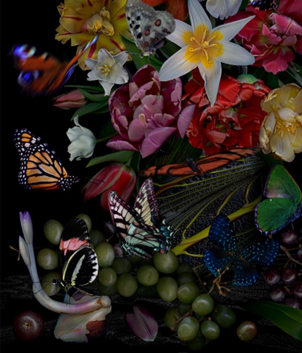 Still Life with a Green Bug. Flowers. Digital Collage Color Photograph For Sale 3