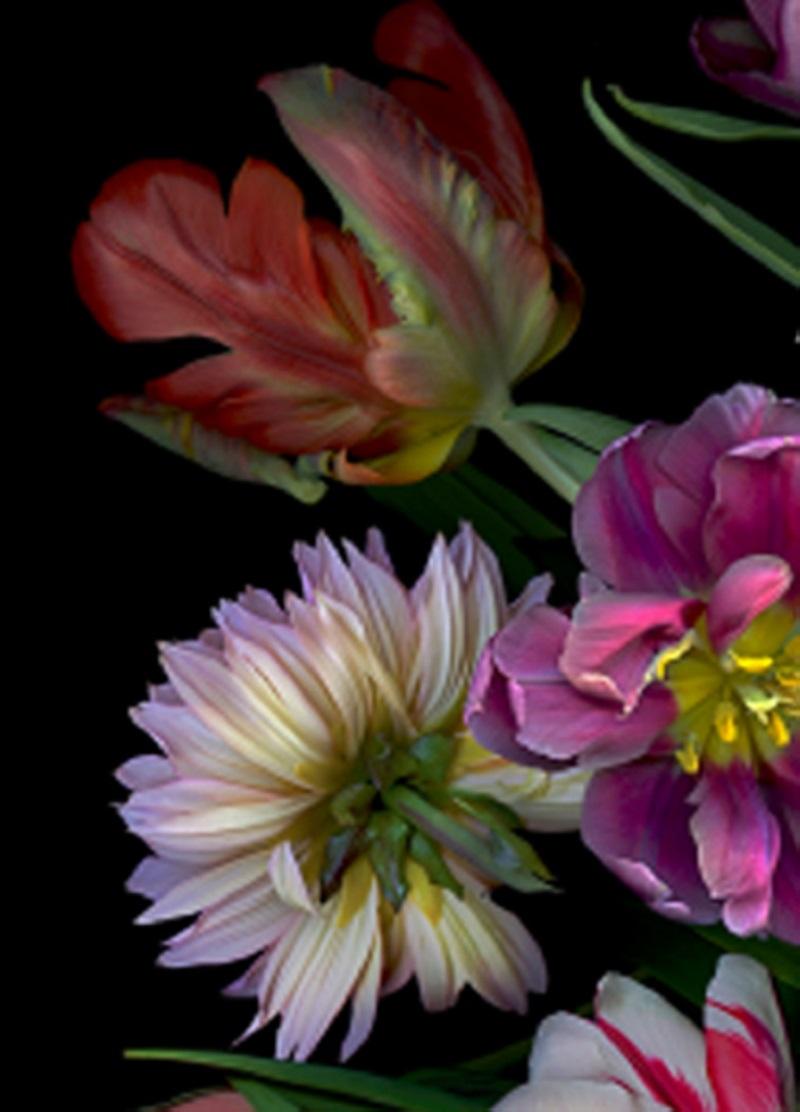 Stilleben mit Muscheln. Blumen. Digitale Collage-Farbfotografie – Photograph von Zoltan Gerliczki