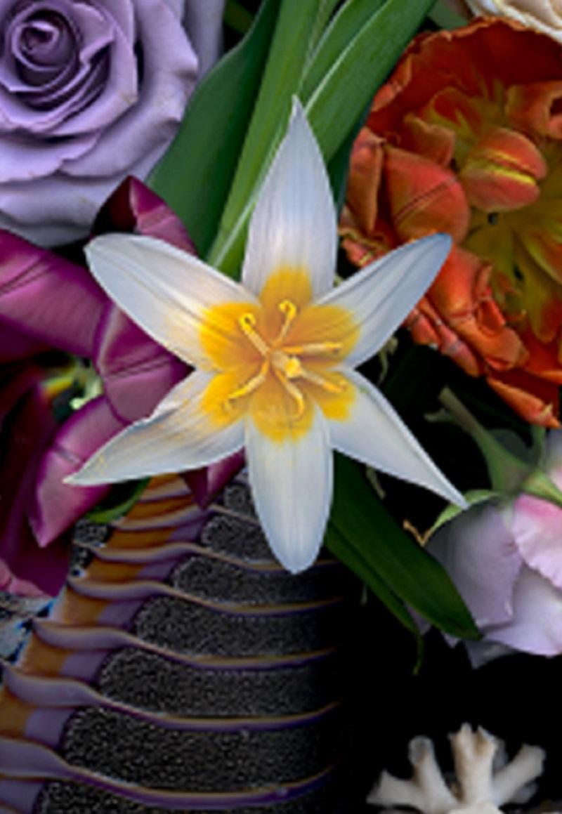 Stilleben mit Muscheln. Blumen. Digitale Collage-Farbfotografie (Moderne), Photograph, von Zoltan Gerliczki