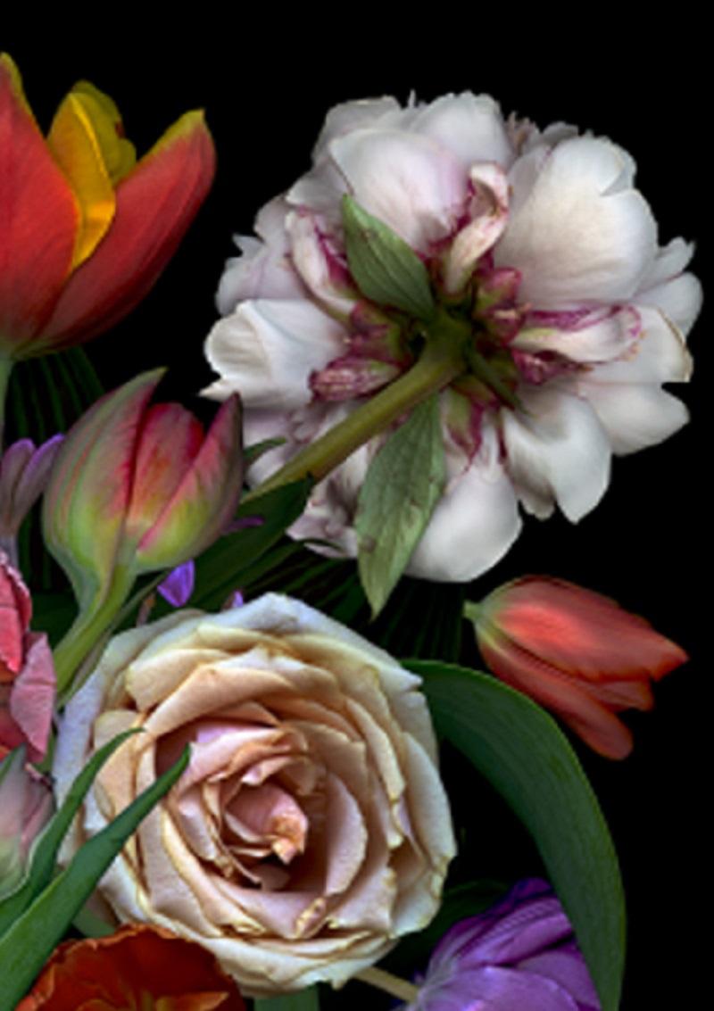 Stilleben mit Muscheln. Blumen. Digitale Collage-Farbfotografie (Schwarz), Still-Life Photograph, von Zoltan Gerliczki
