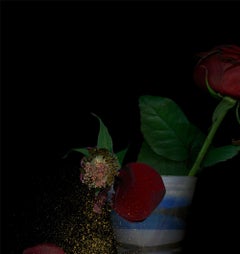 Venice. Digital Collage Color Photograph