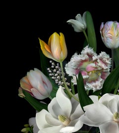 White Still. Digitale Collage-Farbfotografie