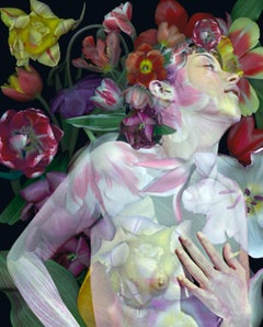 Fauna 1 - 5 and 6. Figurative Digital Collage Color Photographs